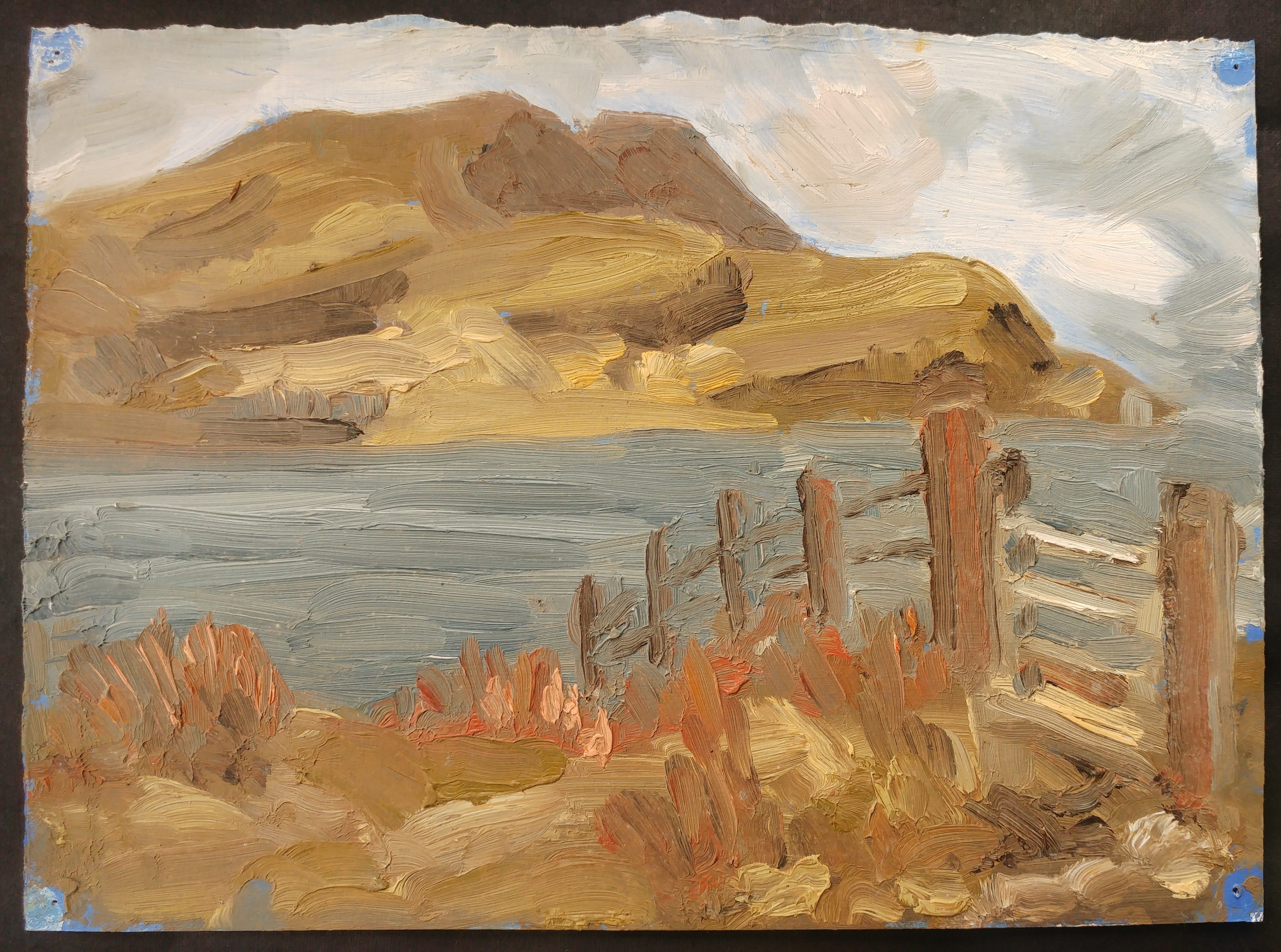 Landscape with fence and gate